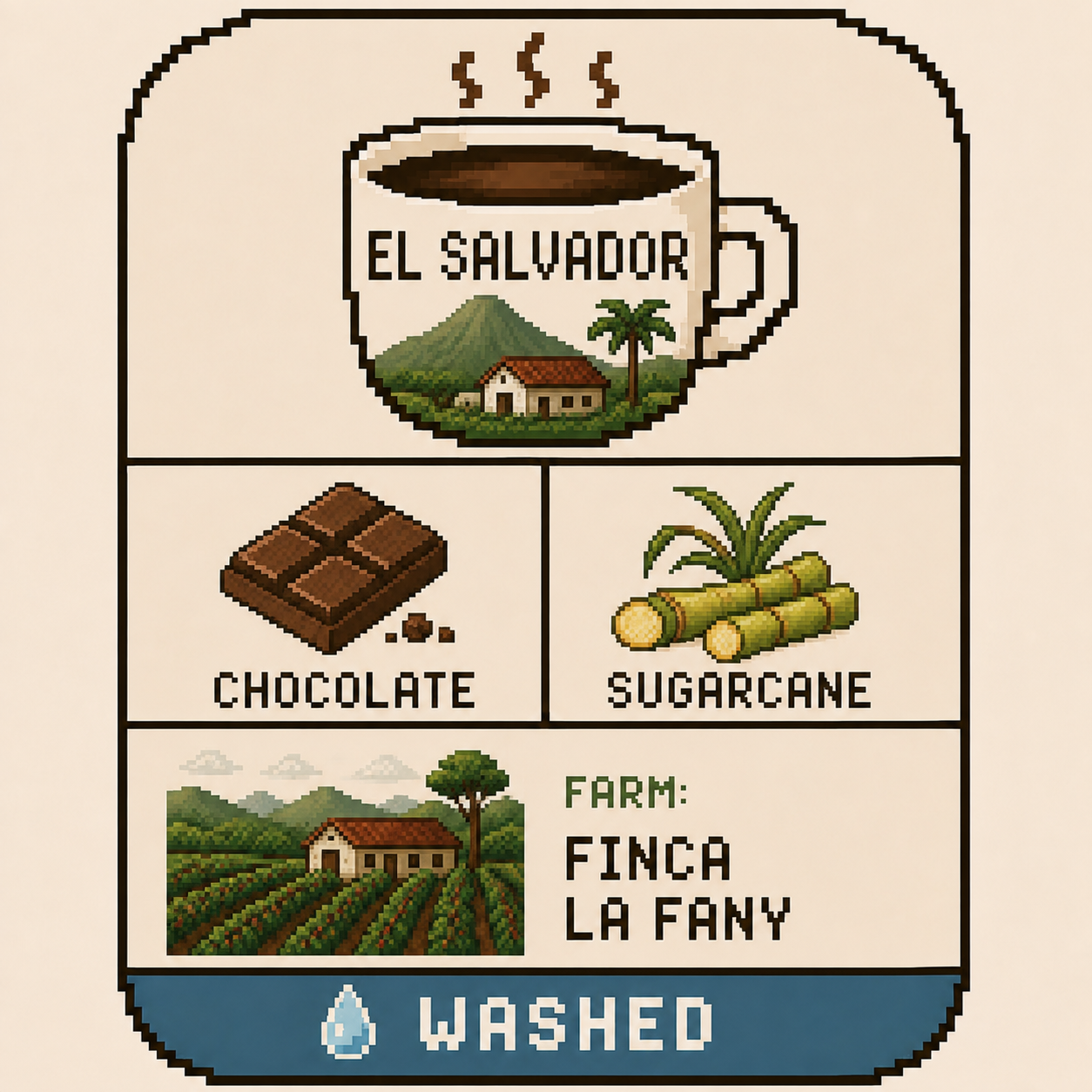 El Salvador - Finca La Fany